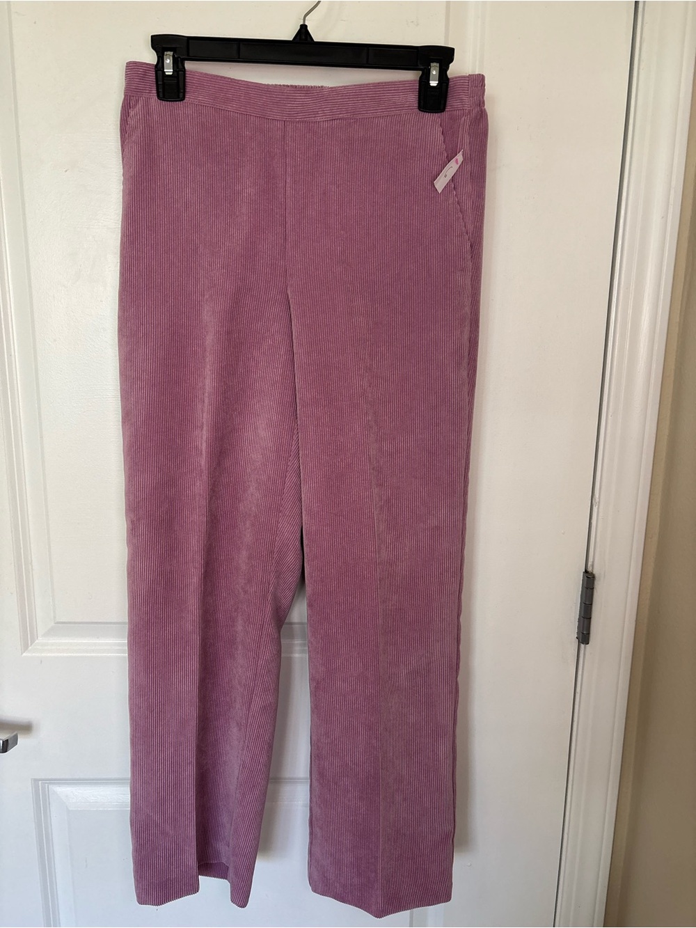 Alfred Dunner Women’s Petite 6P Purple Corduroy Pull On Straight Elastic 28" NWT